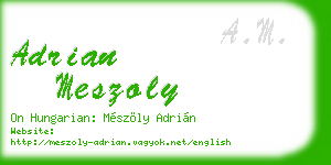 adrian meszoly business card
